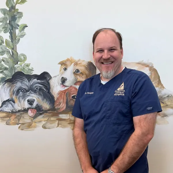Dr. Jeffrey Reagan