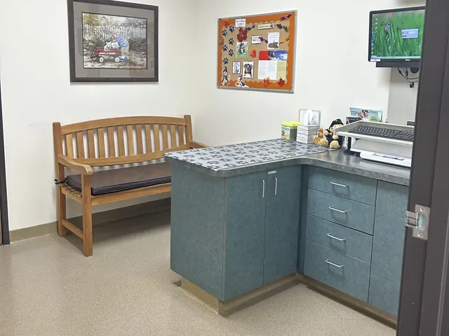 Exam room with a wooden bench, exam table and framed pet photos