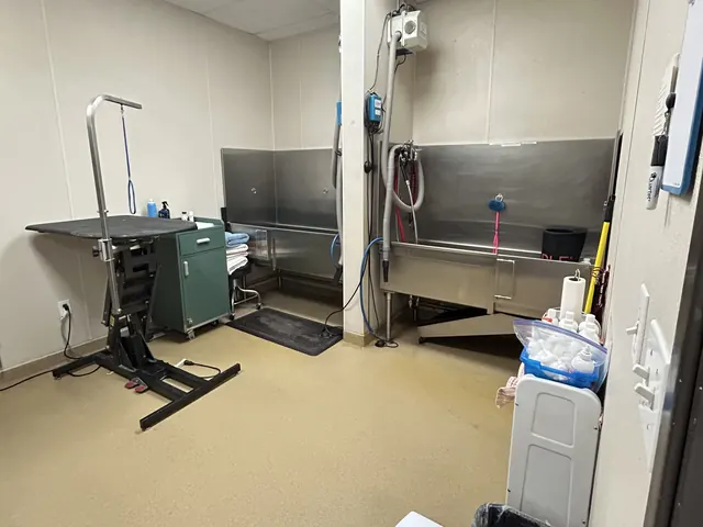 Grooming room with a raised grooming table and a stainless steel bathing tub