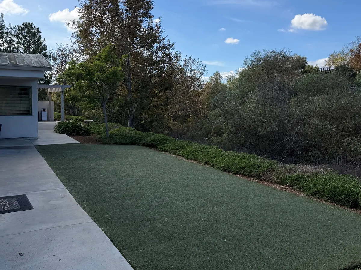 Grassy outdoor walking area for dogs beside the hospital