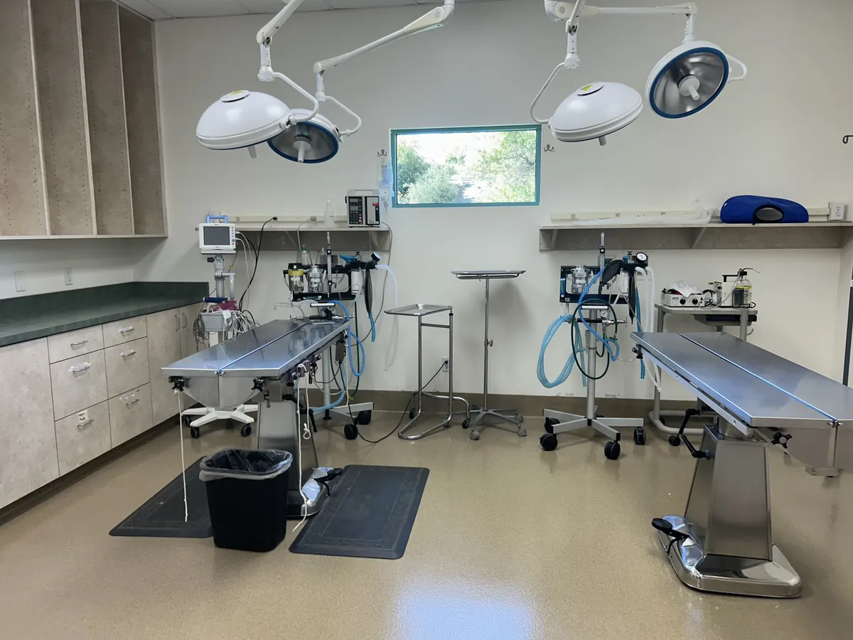 Surgery suite with two surgical tables, overhead surgical lights and monitoring equipment