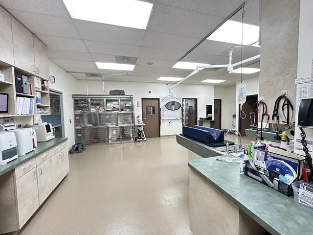 Spacious treatment area with exam tables, cabinets and the in-house lab